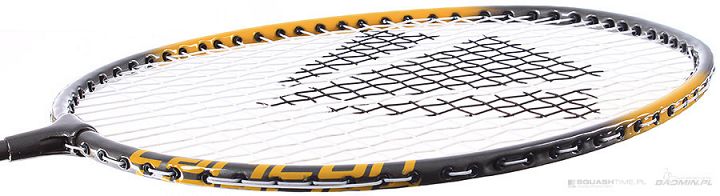 Carlton Powerblade Rally 2
